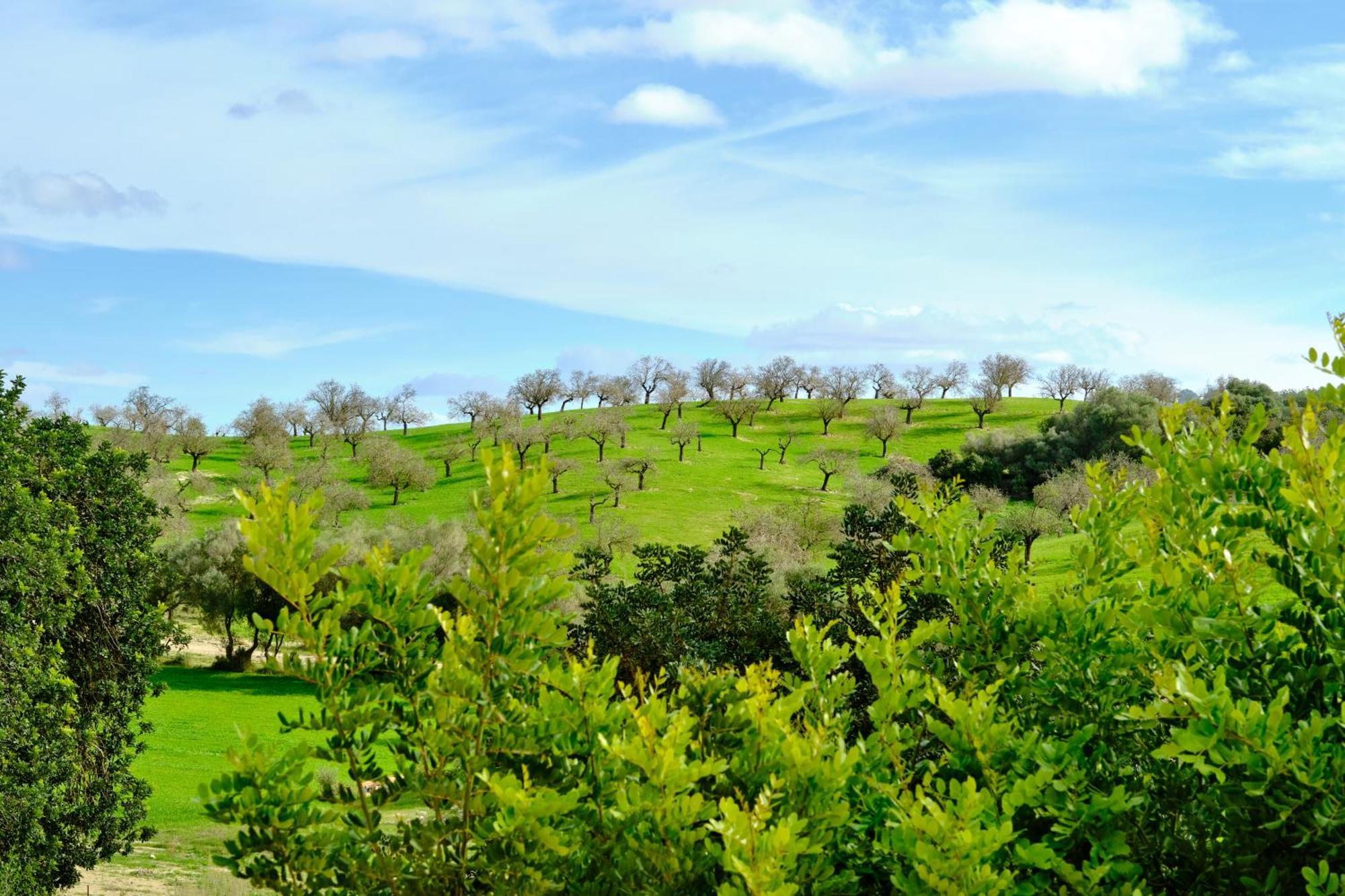 Finca Sa Bastida Luxury Retreat & Spa Adults Only Sant Joan Extérieur photo